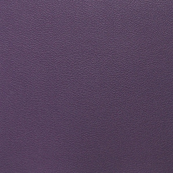 Esprit- Purple Iris